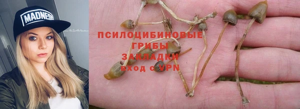 Альфа ПВП Аркадак