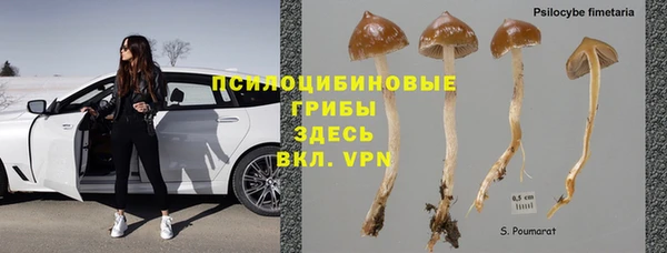 spice Арсеньев