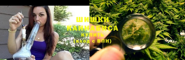 Альфа ПВП Аркадак