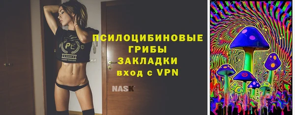 spice Арсеньев